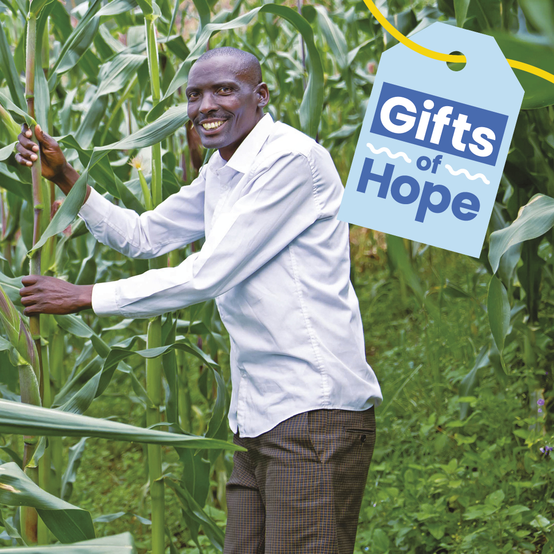 Gifts of Hope Charity Gifts Plan International Australia Plan
