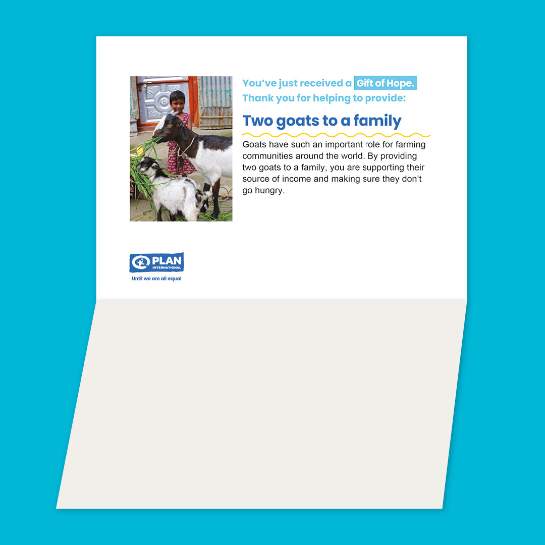 Provide two goats to a family