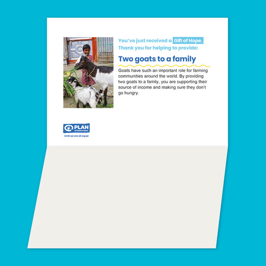 Provide two goats to a family